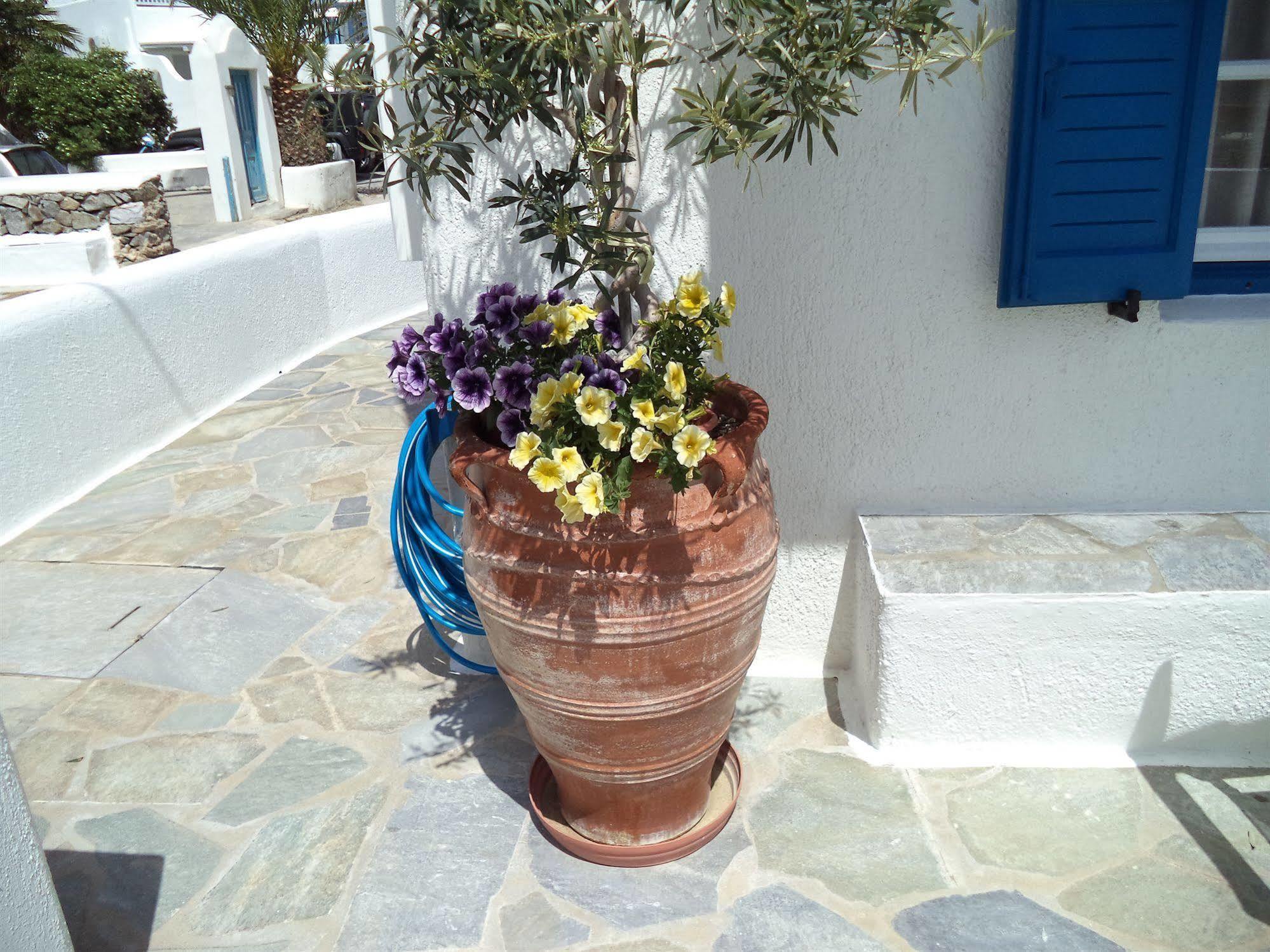 Appartamento Filoxenia